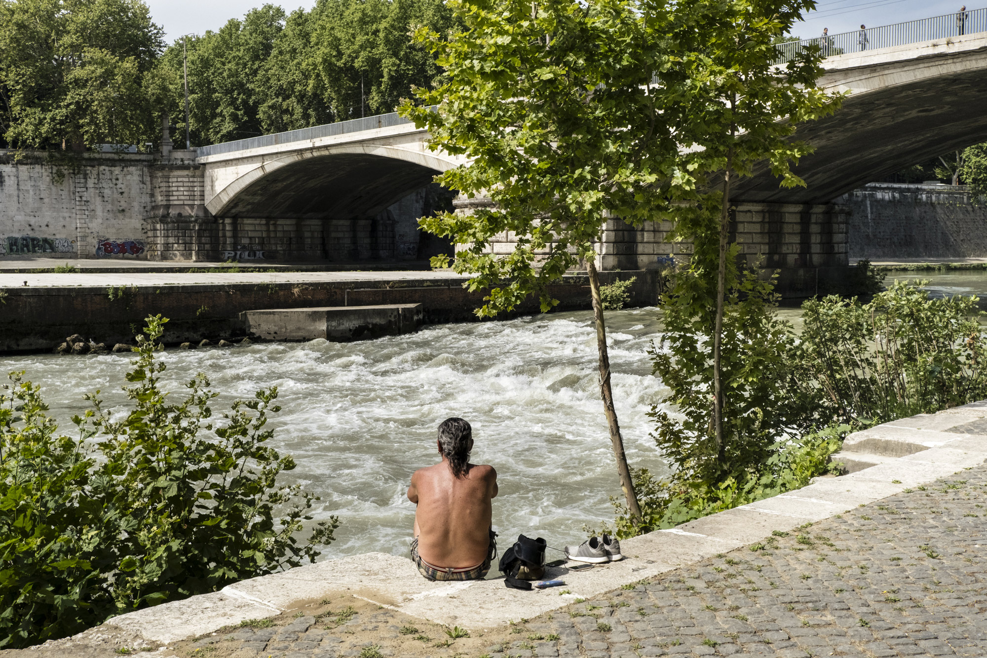 Al di là del fiume e sotto gli alberi #22