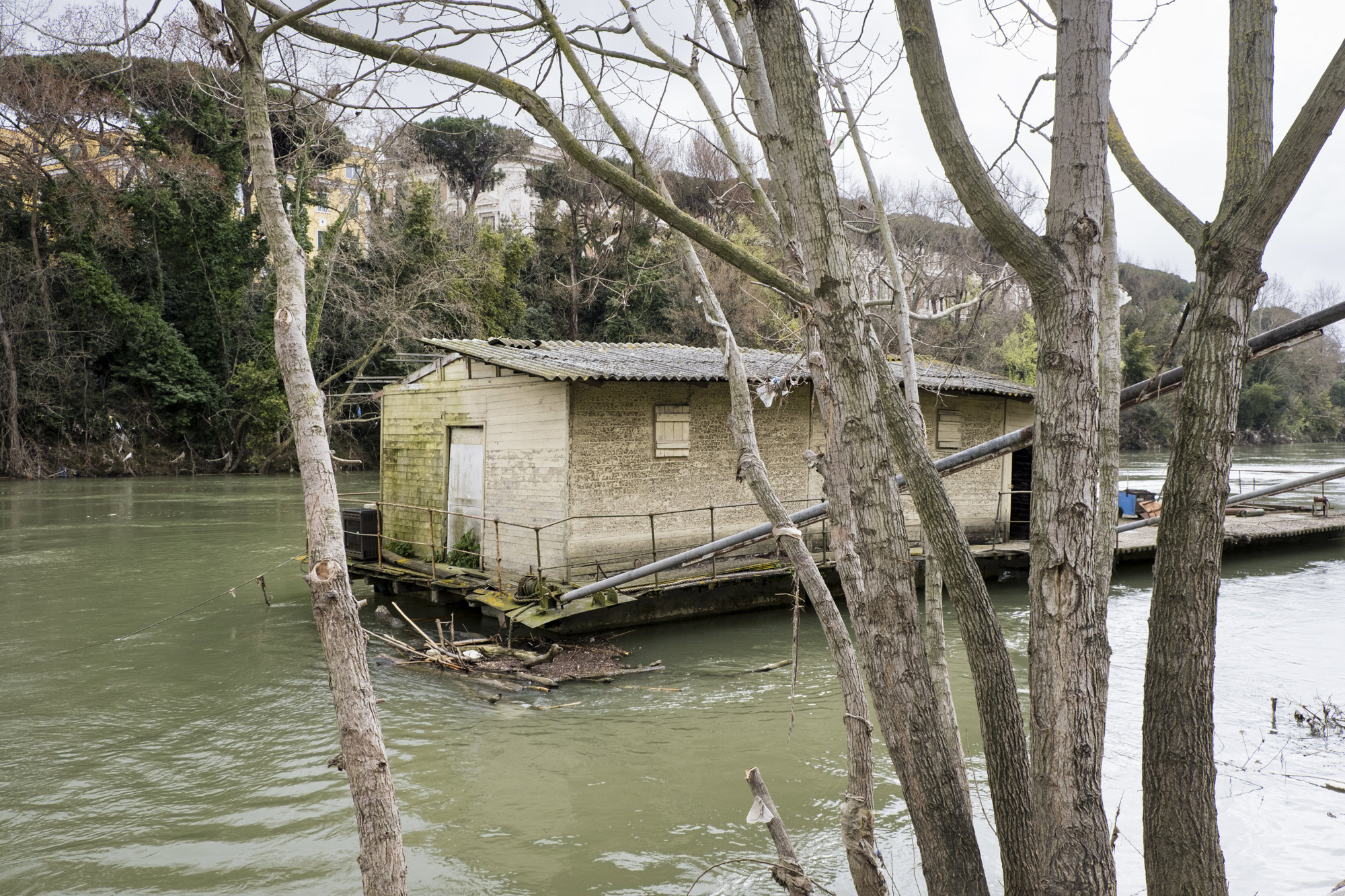 Al di là del fiume e sotto gli alberi #23