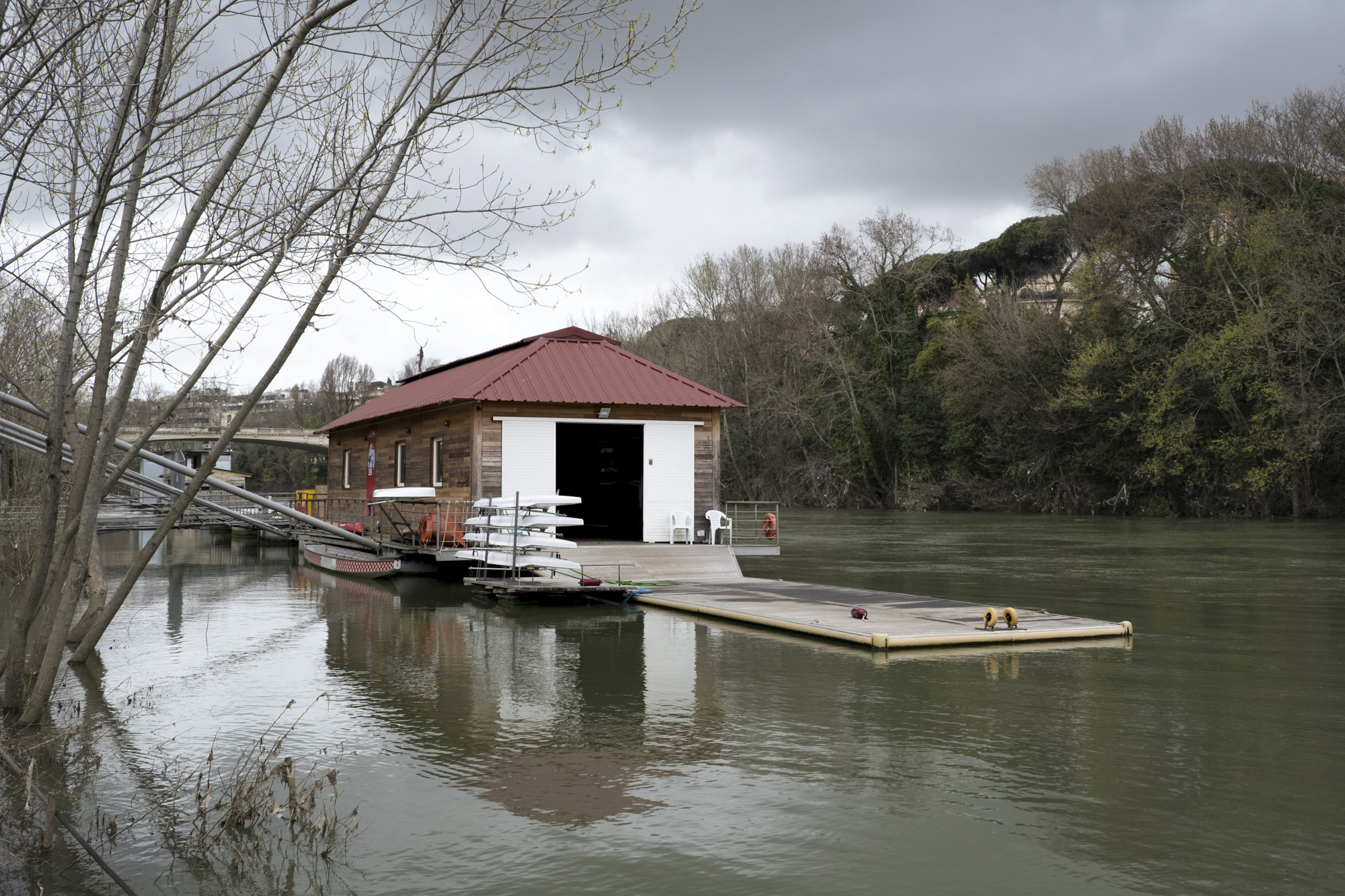 Al di là del fiume e sotto gli alberi #26