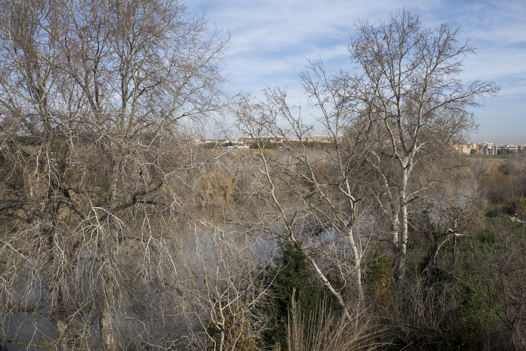 Al di là del fiume e sotto gli alberi #30