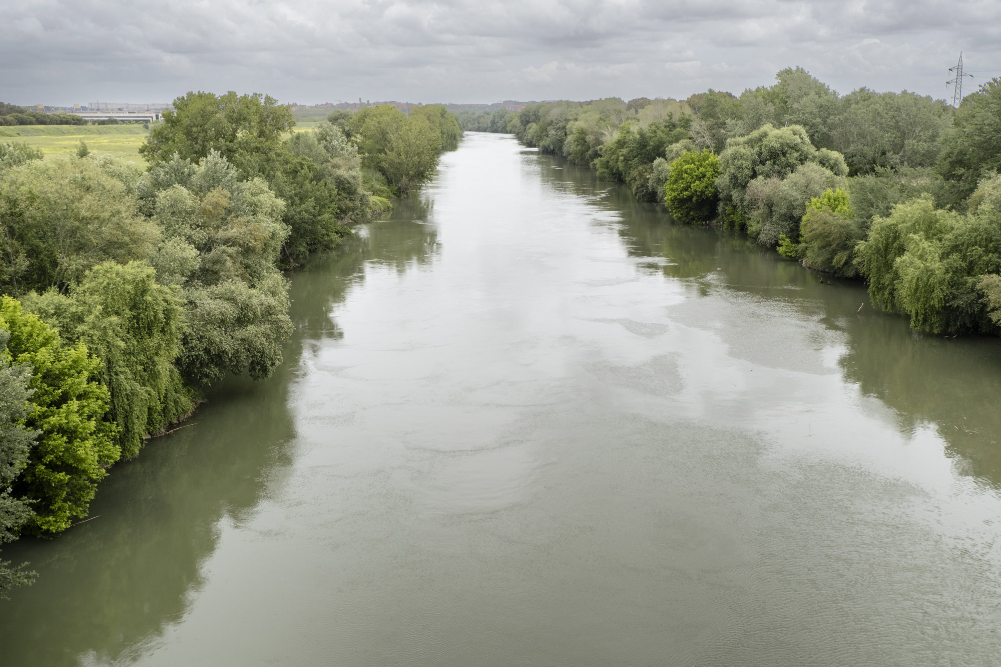 Al di là del fiume e sotto gli alberi #32