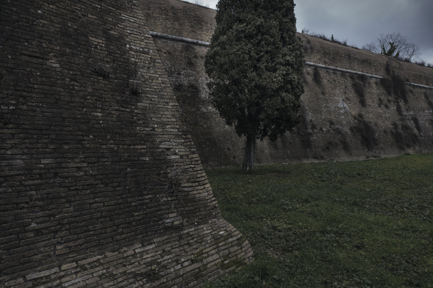 Le Mura Aureliane #14