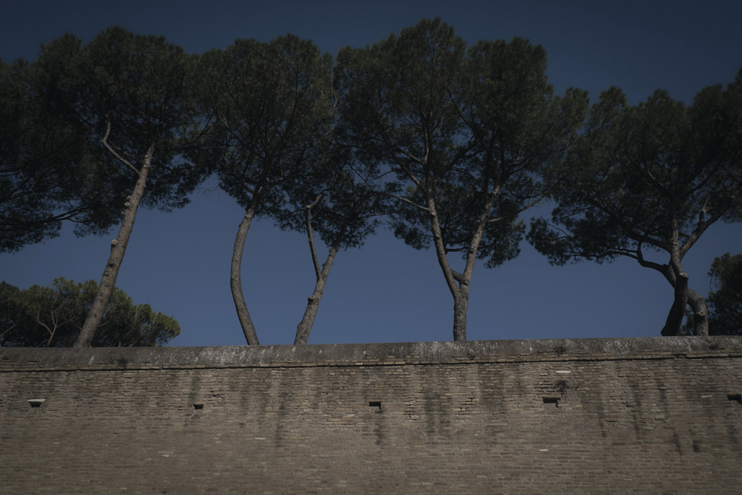 Le Mura Aureliane #20